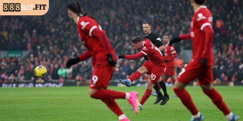 Theo dõi tình hình lực lượng và phong độ đội bóng